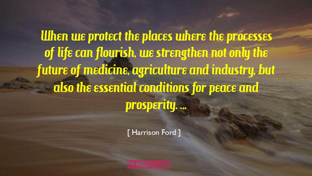 International Peace quotes by Harrison Ford