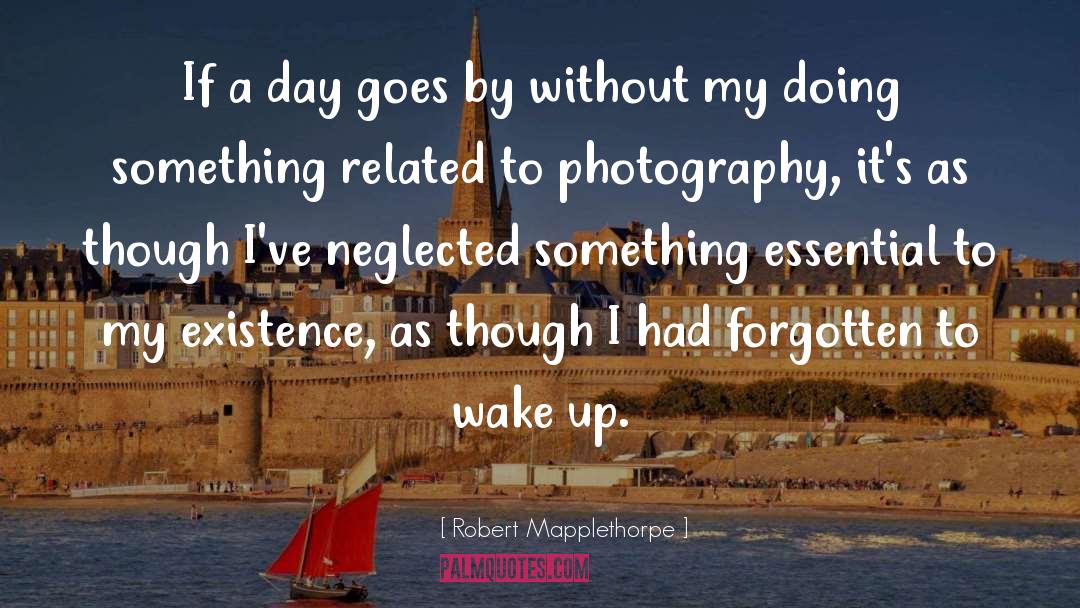 International Photography Day quotes by Robert Mapplethorpe