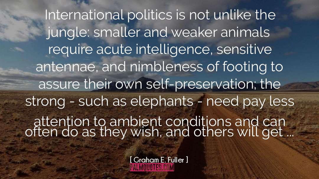 International Politics quotes by Graham E. Fuller