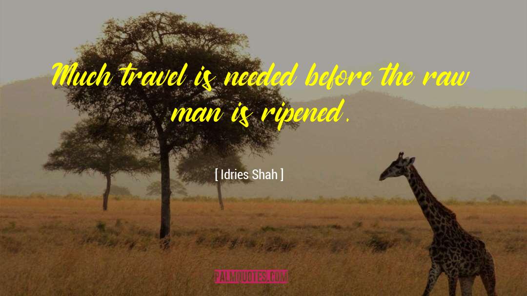 International Travel quotes by Idries Shah