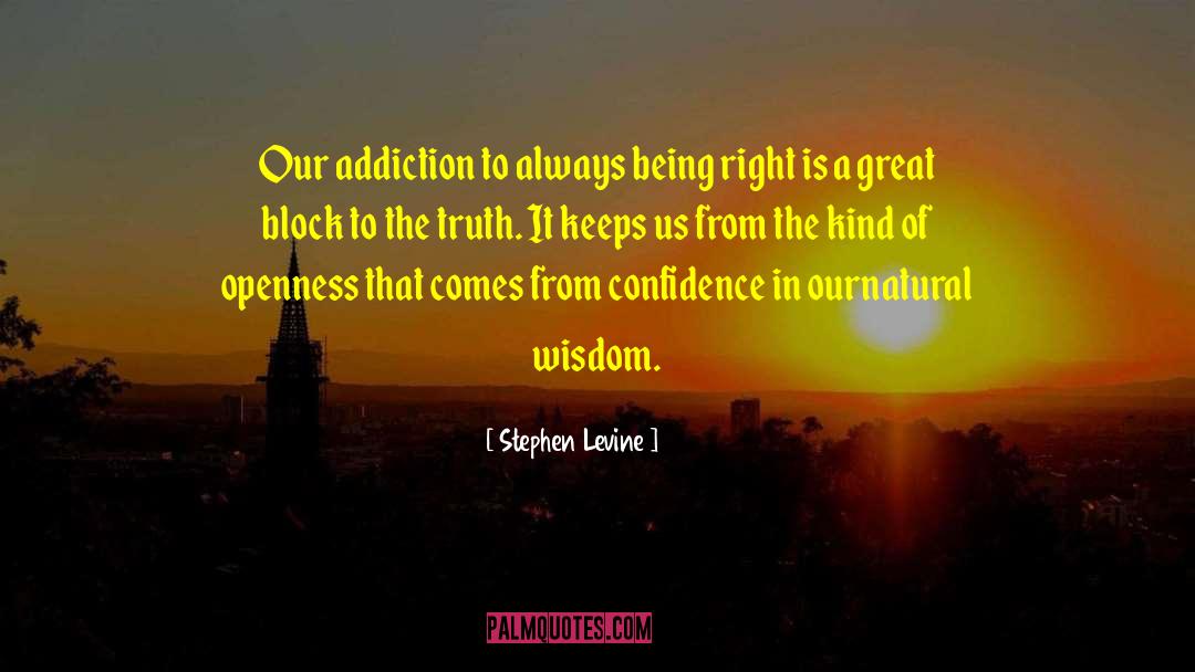 Internet Addiction quotes by Stephen Levine