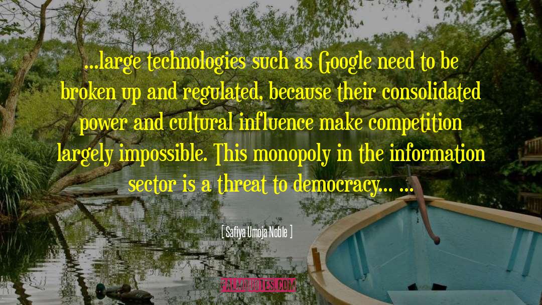 Internet And Democracy quotes by Safiya Umoja Noble