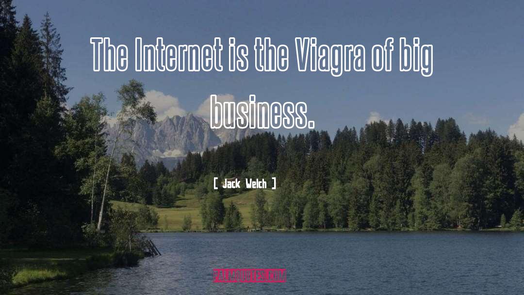 Internet Business quotes by Jack Welch
