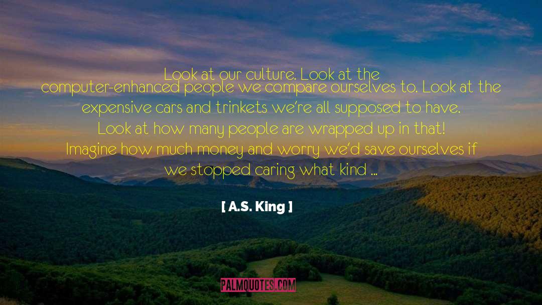 Internet Culture quotes by A.S. King