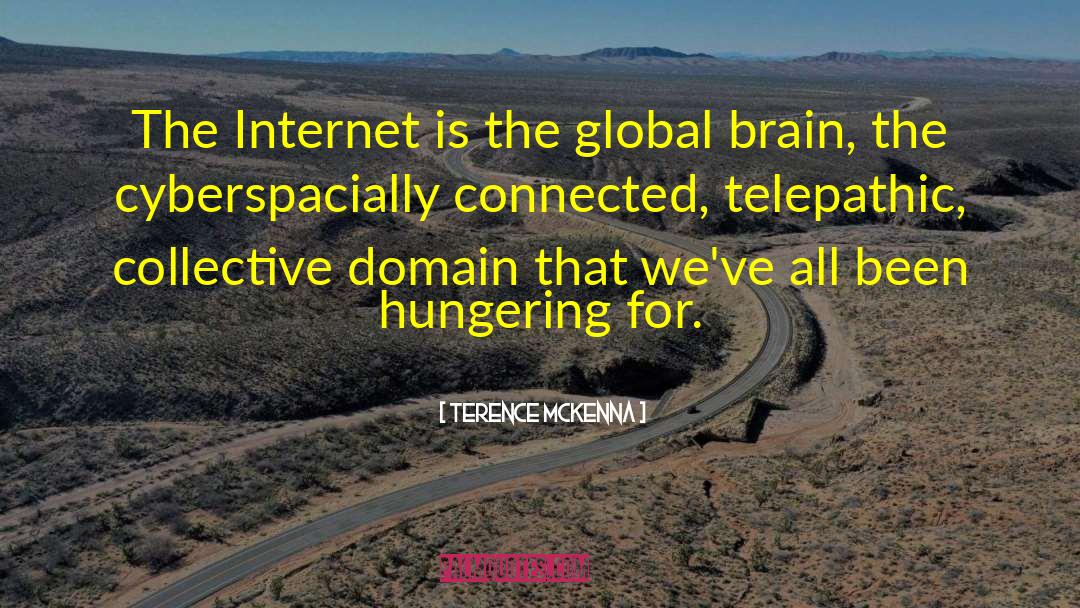 Internet Culture quotes by Terence McKenna