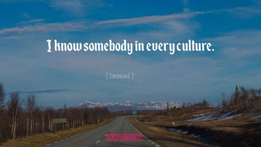 Internet Culture quotes by Timbaland