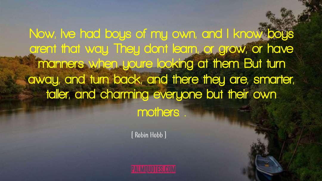 Internet Manners Manners quotes by Robin Hobb