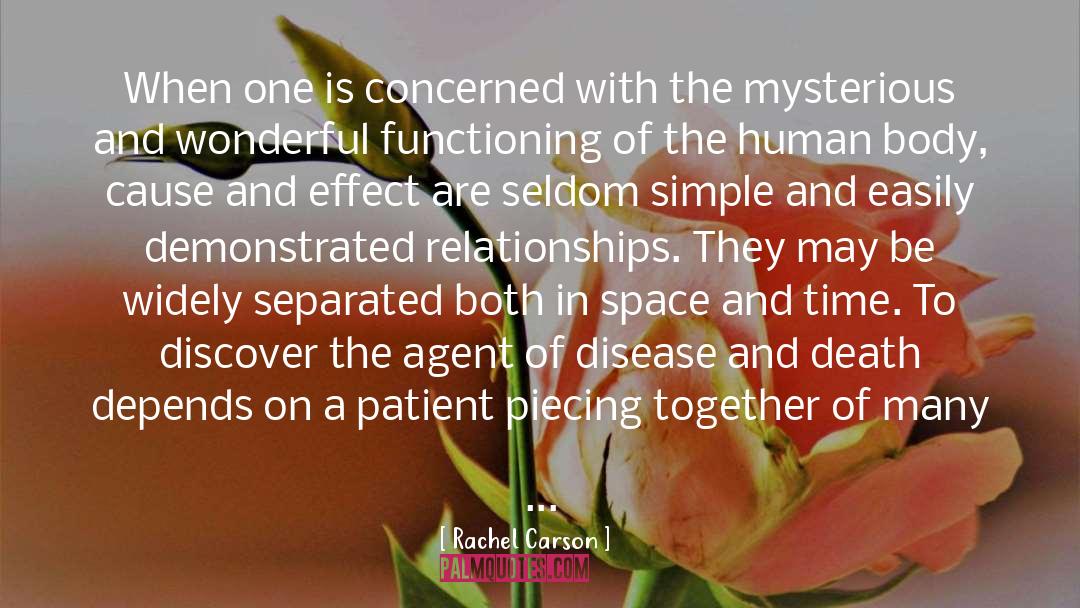Internet Relationships quotes by Rachel Carson
