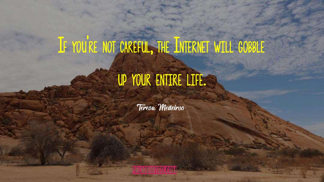 Internet Technology quotes by Teresa Medeiros