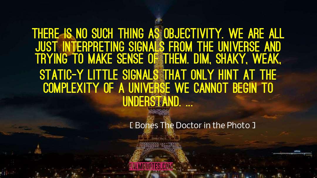 Interpretation Of Art quotes by Bones The Doctor In The Photo