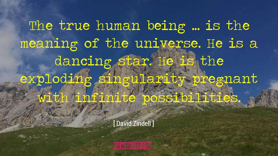 Interpretive Dancing quotes by David Zindell