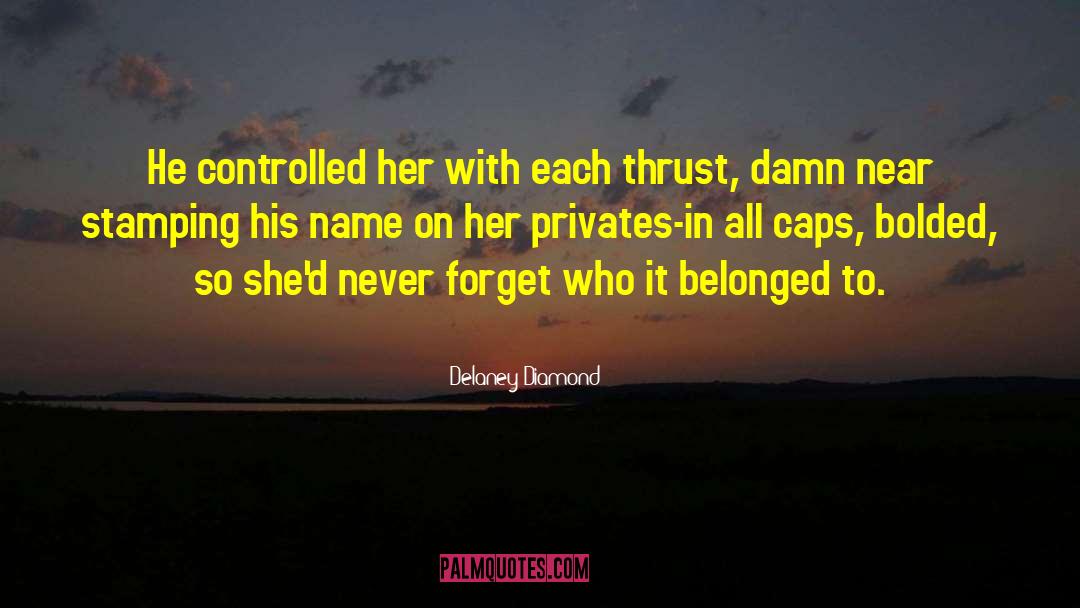 Interracial Romance quotes by Delaney Diamond