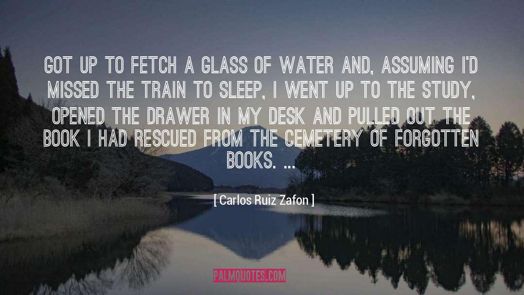 Interred In A Cemetery quotes by Carlos Ruiz Zafon