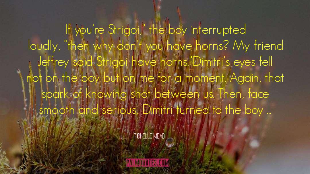 Interrupted quotes by Richelle Mead