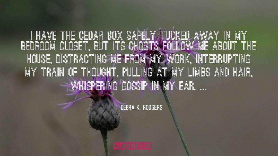 Interrupting quotes by Debra K. Rodgers