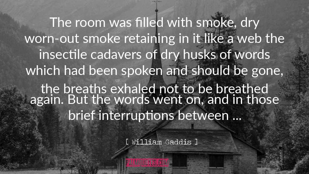 Interruptions quotes by William Gaddis