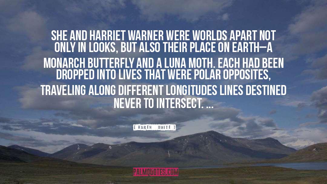 Intersect quotes by Karen   White