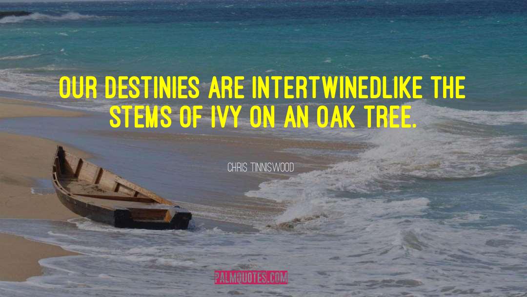 Intertwined quotes by Chris Tinniswood