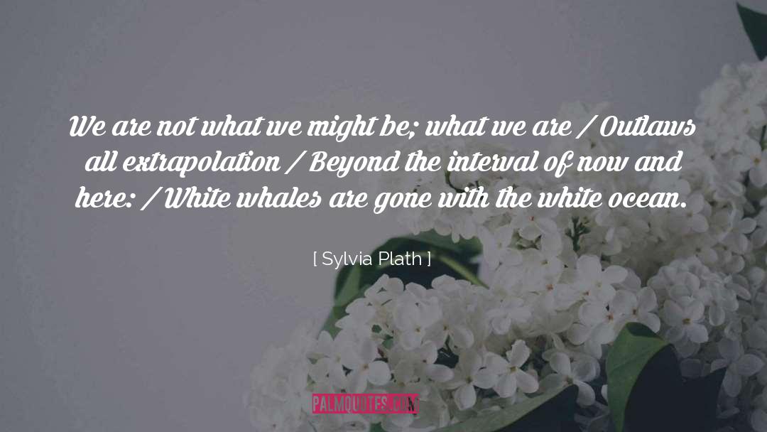 Interval quotes by Sylvia Plath