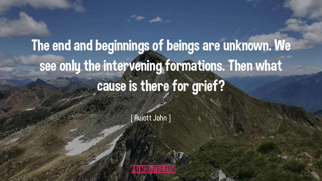 Intervening quotes by Aviott John