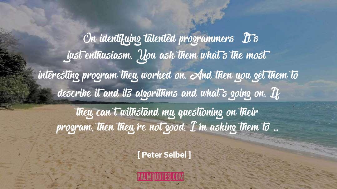 Interview Magazine quotes by Peter Seibel