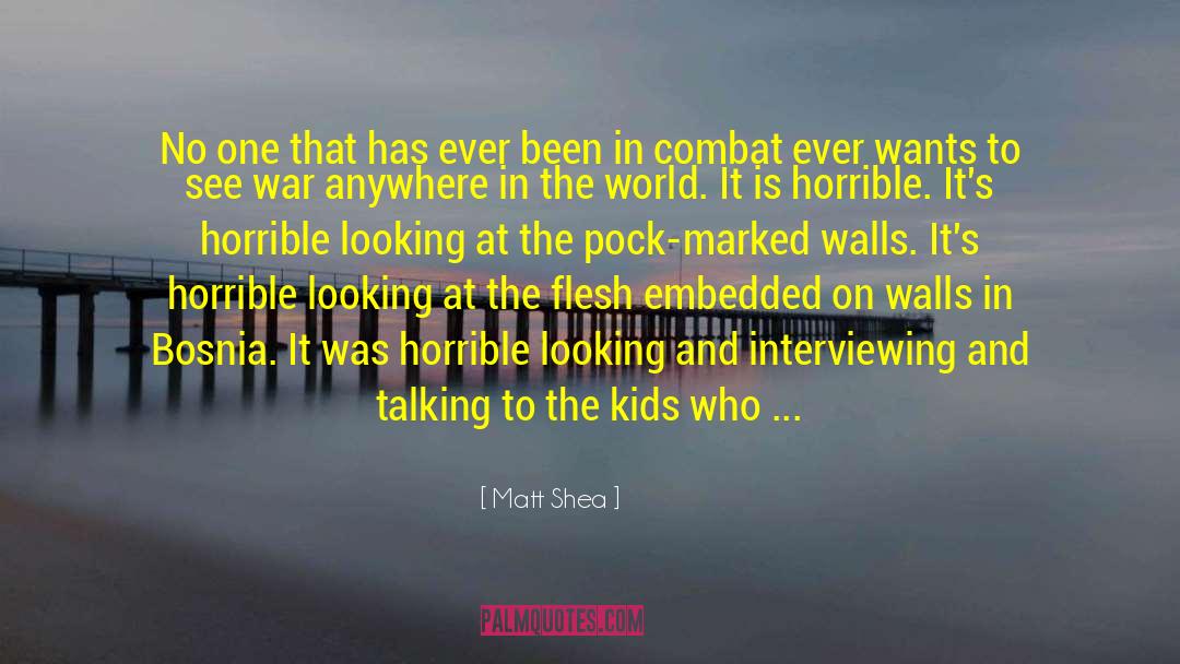 Interviewing quotes by Matt Shea