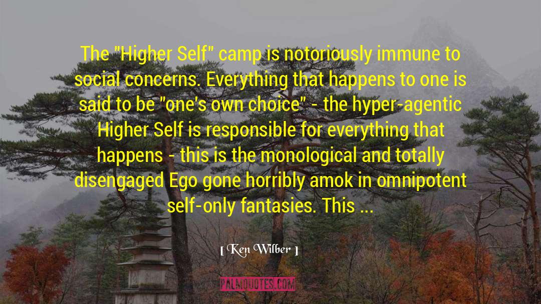 Interwoven quotes by Ken Wilber