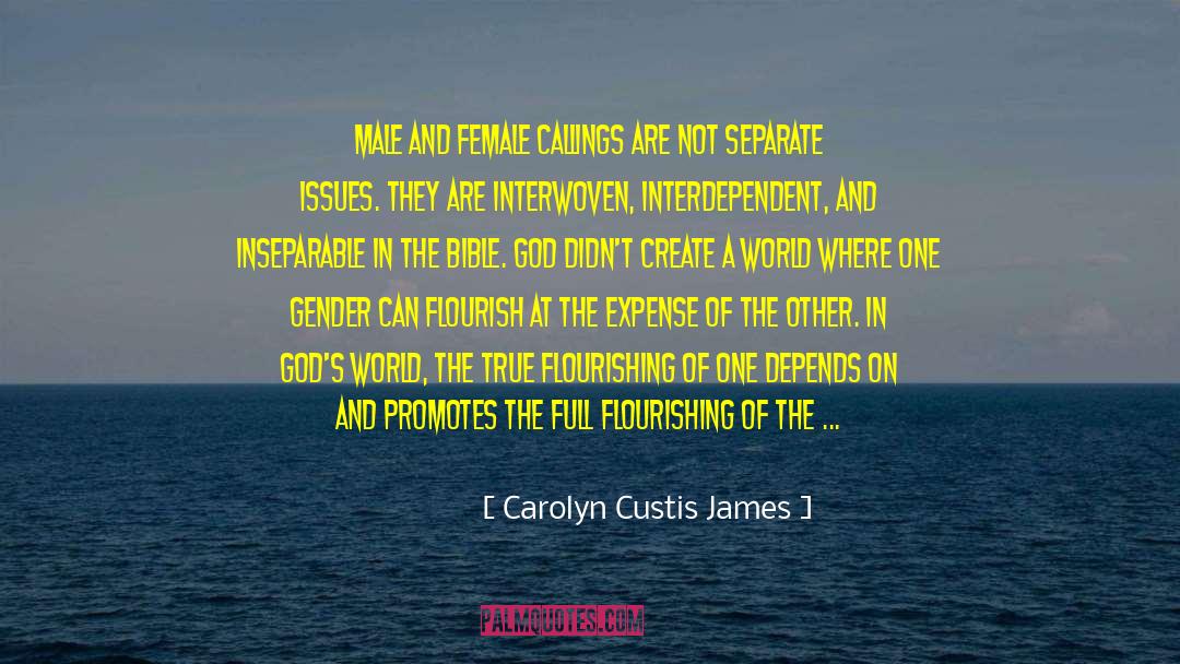 Interwoven quotes by Carolyn Custis James