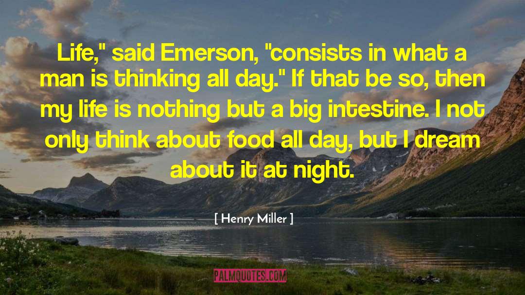 Intestine quotes by Henry Miller