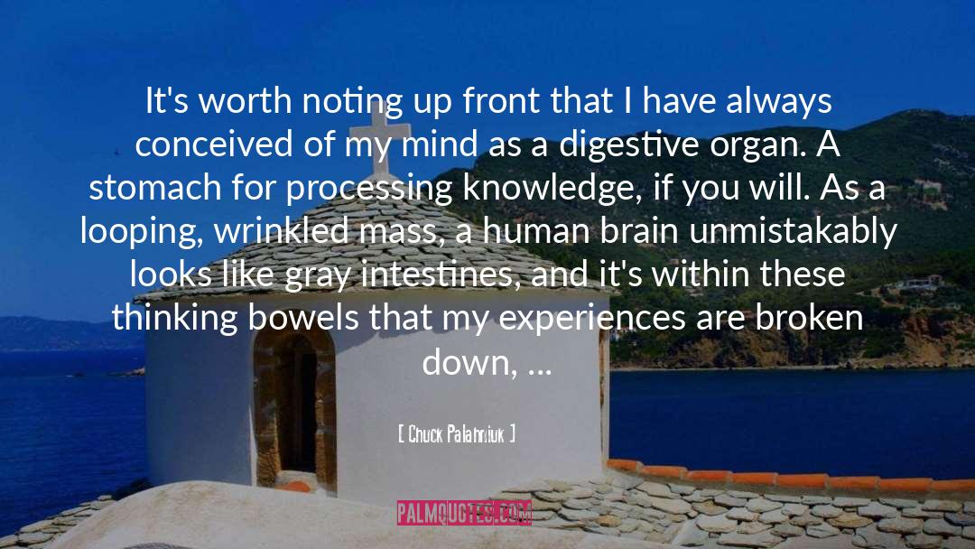 Intestines quotes by Chuck Palahniuk