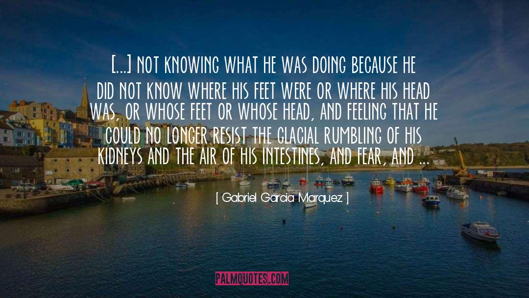 Intestines quotes by Gabriel Garcia Marquez
