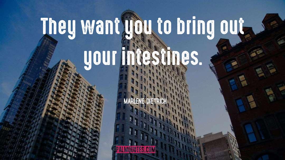 Intestines quotes by Marlene Dietrich