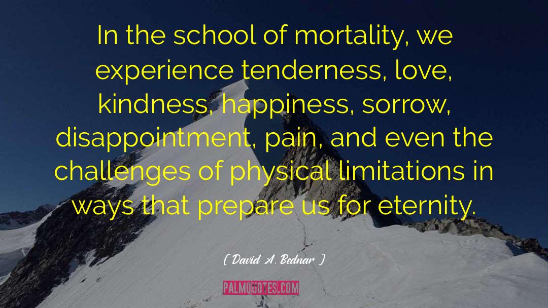 Intimations Of Mortality quotes by David A. Bednar