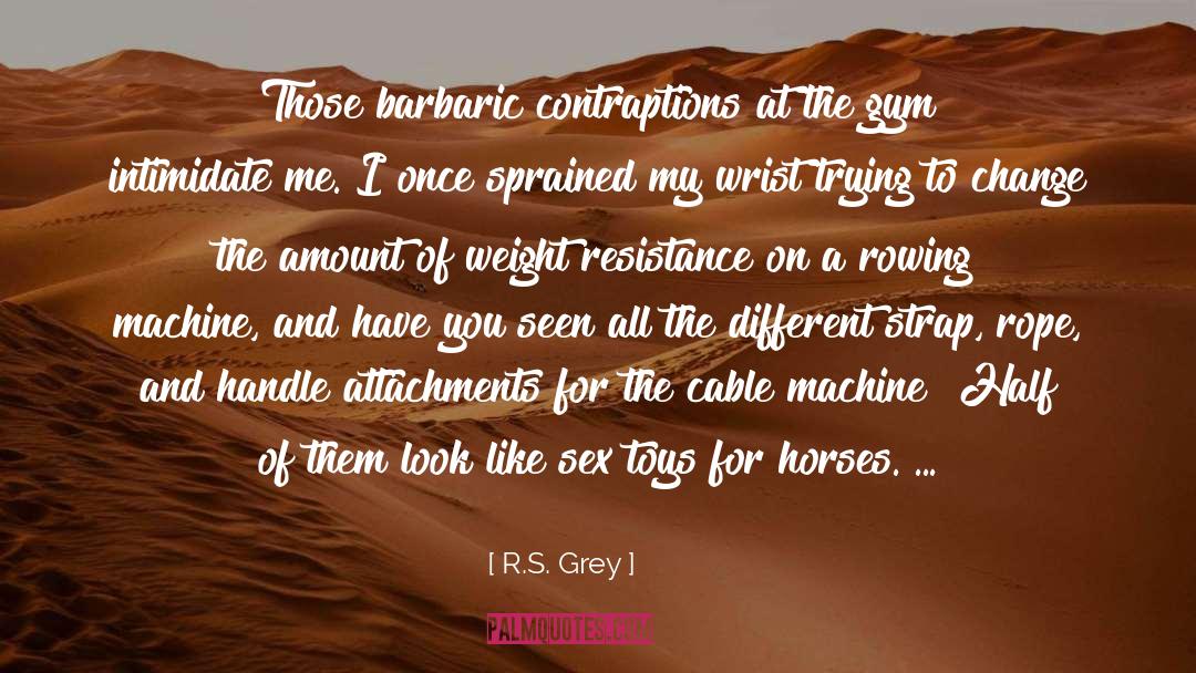 Intimidate quotes by R.S. Grey