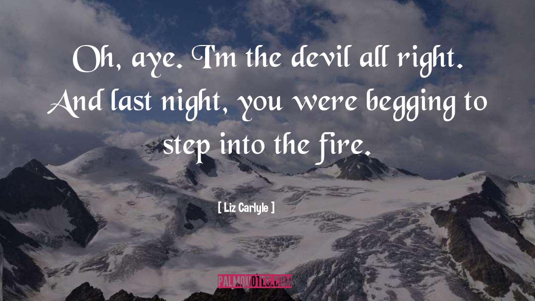 Into The Fire quotes by Liz Carlyle