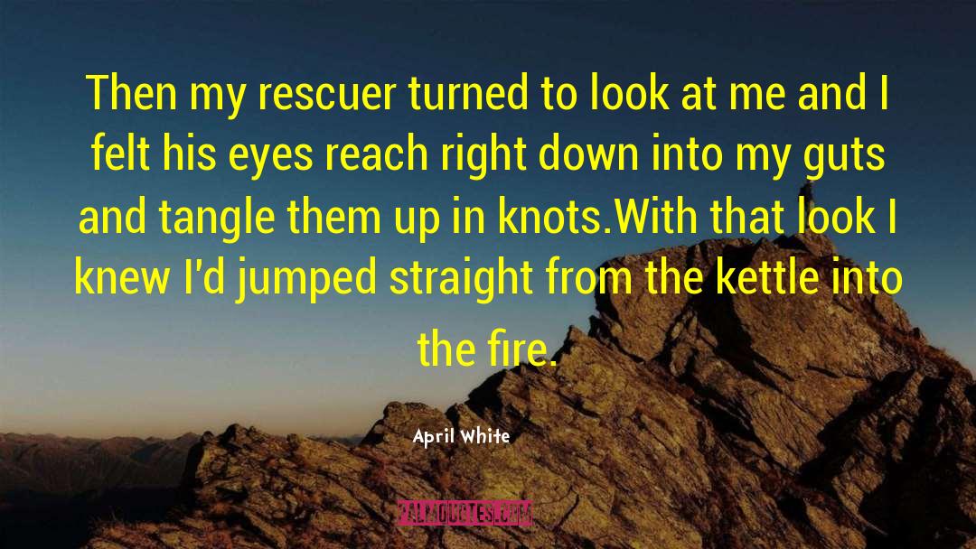 Into The Fire quotes by April White
