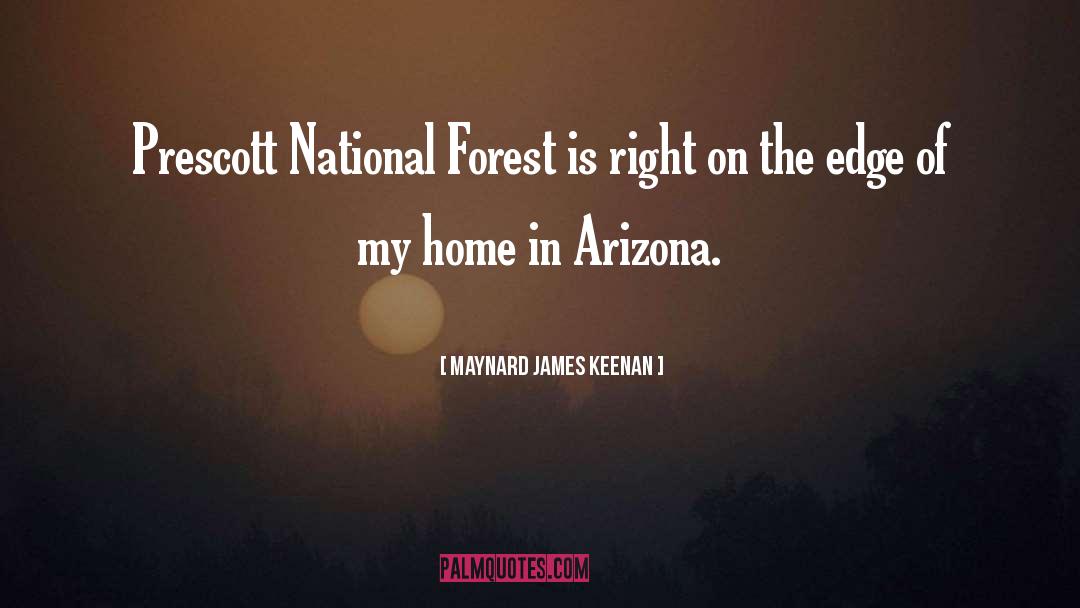 Into The Forest Movie quotes by Maynard James Keenan
