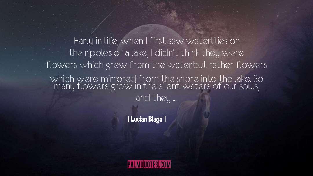 Into The Silent Sea quotes by Lucian Blaga