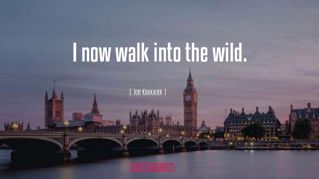 Into The Wild quotes by Jon Krakauer