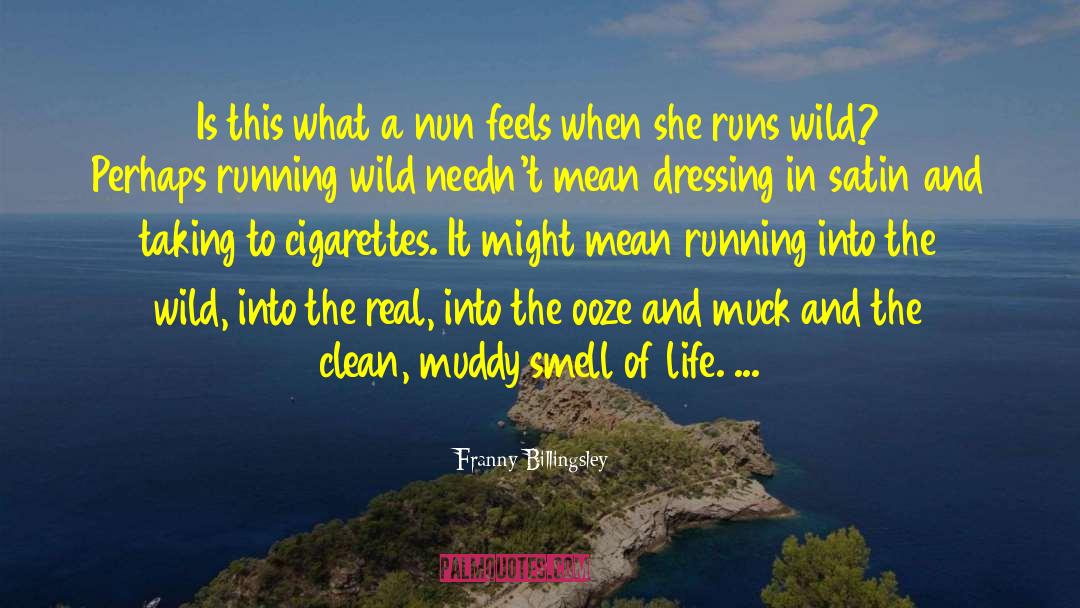 Into The Wild quotes by Franny Billingsley