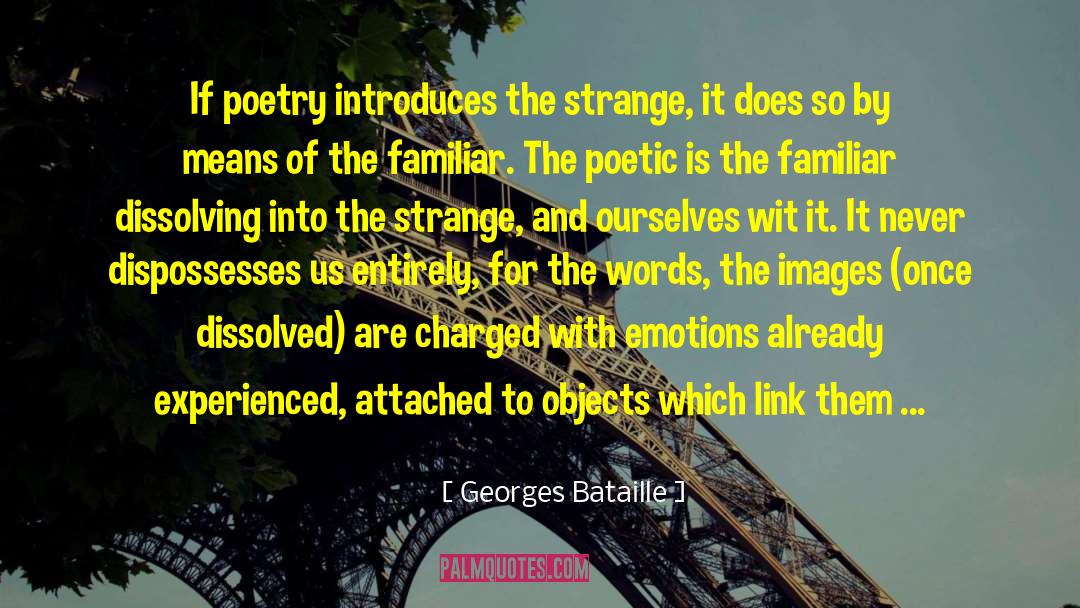 Into The Wild quotes by Georges Bataille