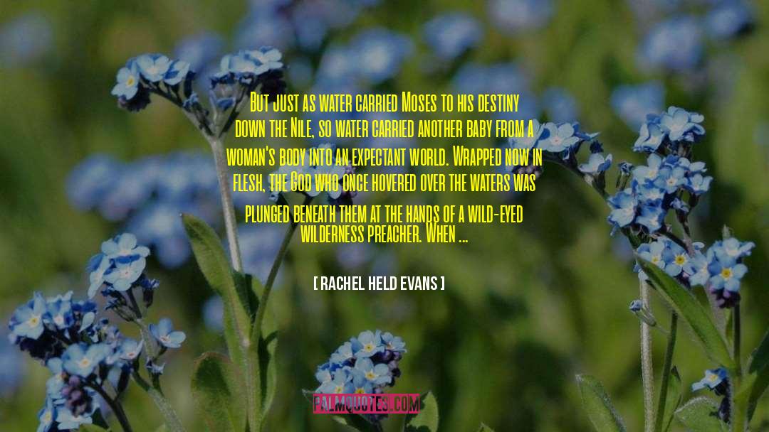 Into Wild quotes by Rachel Held Evans