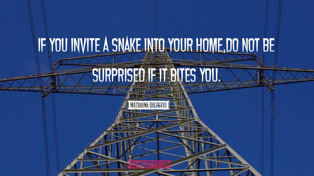 Into Your Home quotes by Matshona Dhliwayo