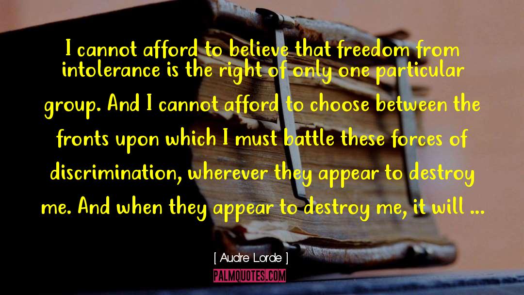 Intolerance quotes by Audre Lorde