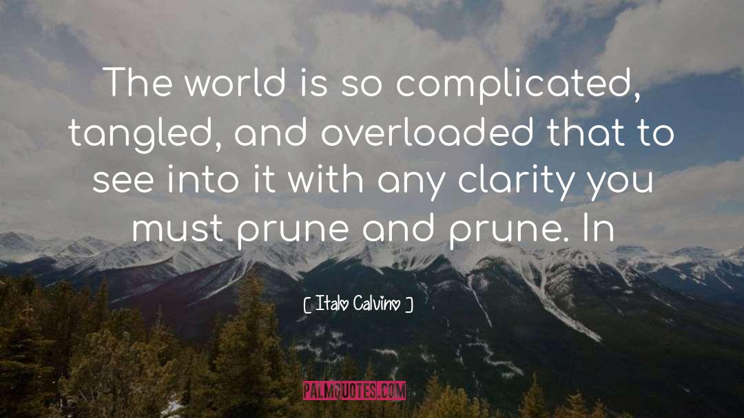Intoxicated Clarity quotes by Italo Calvino