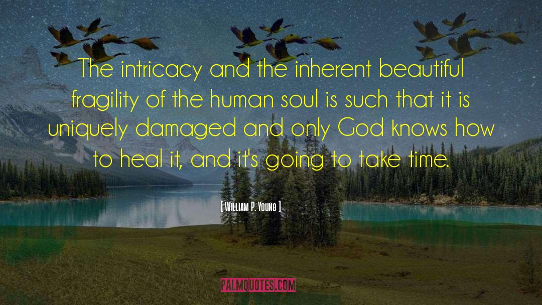 Intricacy quotes by William P. Young