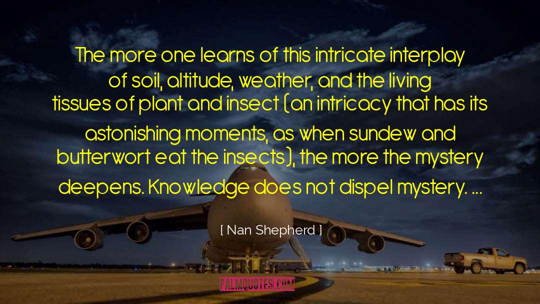 Intricacy quotes by Nan Shepherd