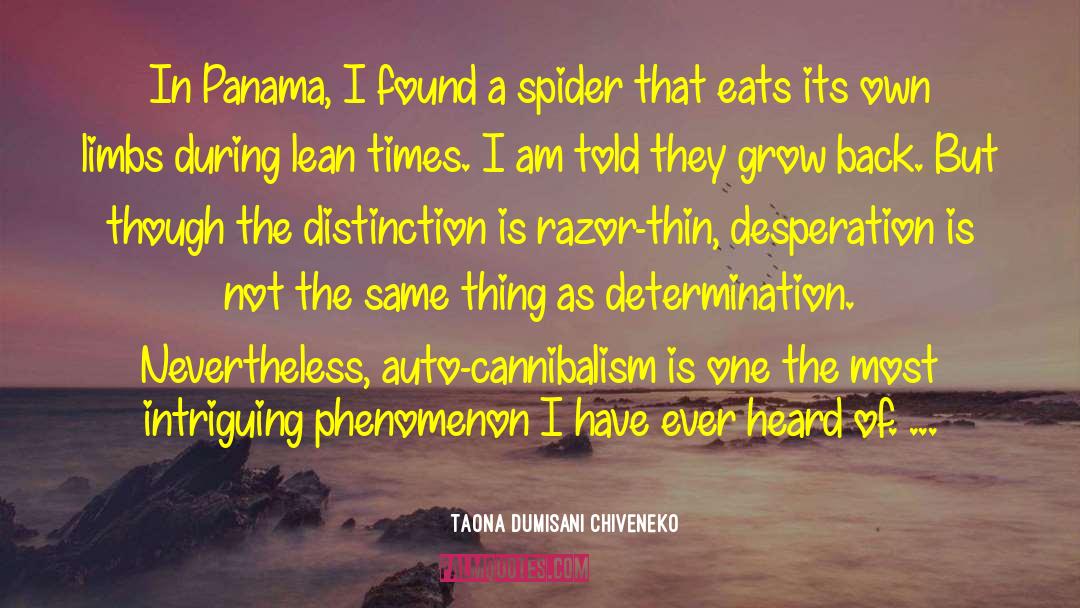 Intriguing quotes by Taona Dumisani Chiveneko