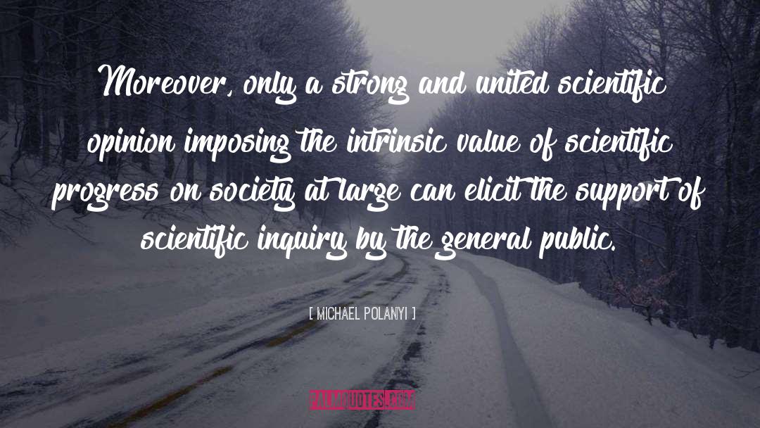 Intrinsic Value quotes by Michael Polanyi