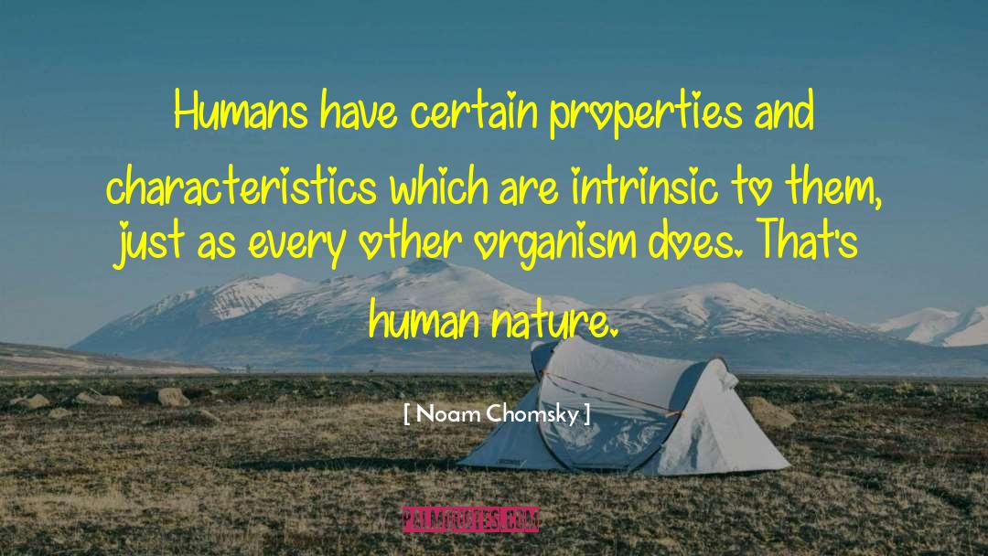 Intrinsic Versus Extrinsic quotes by Noam Chomsky